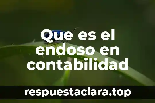 Que es el presupuesto maestro en contabilidad 4 Que es el endoso en contabilidad