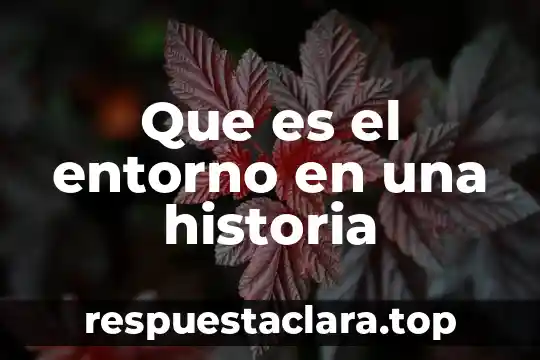 Que es lerdo en historia 6 Que es el entorno en una historia