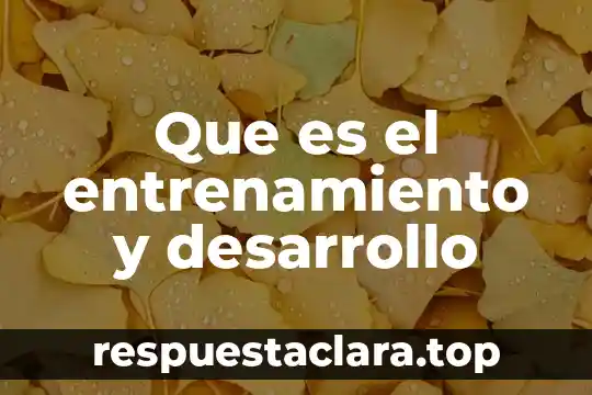 Que es el planeamiento de desarrollo urbano 8 Que es el entrenamiento y desarrollo