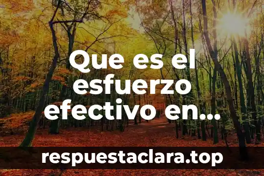 Que es el esfuerzo efectivo en mecanica de suelos