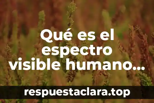 Que es la percepcion en desarrollo humano 5 Qué es el espectro visible humano del color