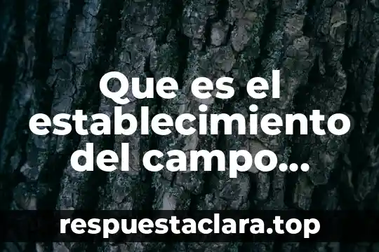 Que es concepto curricular 5 Que es el establecimiento del campo curricular