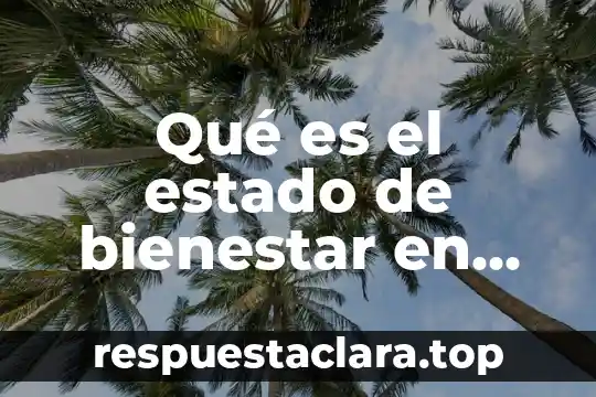 Qué es el estado de bienestar en estructura socioeconómica