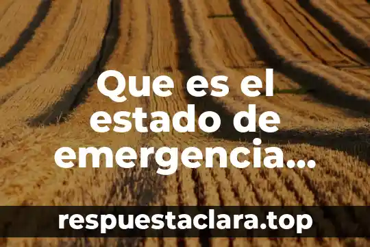 Que es el estado de emergencia economica