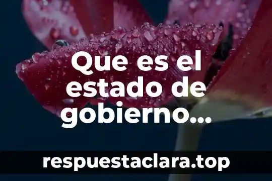 Que es el estado de gobierno yahoo