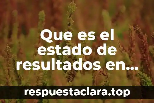 Que es el estado de resultados en economia