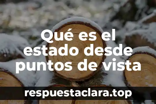 Qué es el estado desde puntos de vista