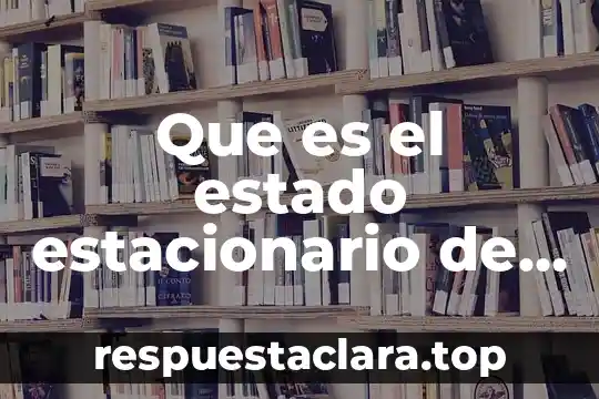 Que es el estado estacionario de una economia