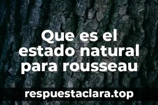 Que es la identidad personal de un estado 4 Que es el estado natural para rousseau