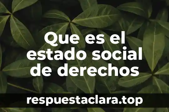 Que es nombre social 6 Que es el estado social de derechos