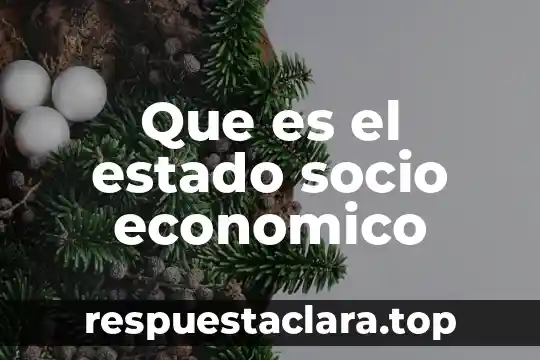 Que es socio familiar 3 Que es el estado socio economico