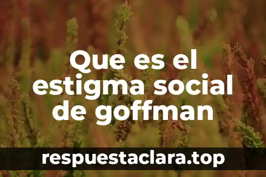 Que es el estigma social de goffman