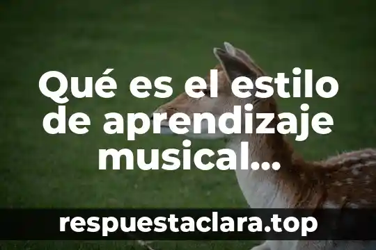 Qué es el estilo de aprendizaje musical resumen