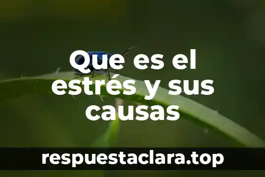 Que es el estrés y sus causas
