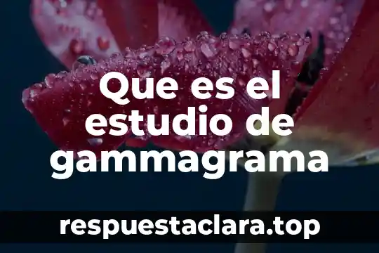 Que es el estudio de gammagrama