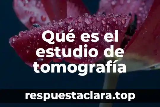 Qué es el estudio de tomografía