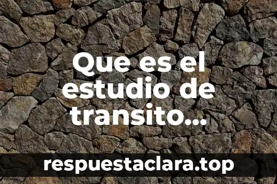 Estudio 85 que es 5 Que es el estudio de transito intestinal