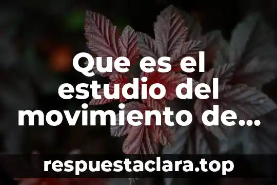 Que es una superficie plana en metrologia 3 Que es el estudio del movimiento de la superficie terrestre