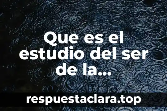 Que es el estudio del ser de la educacion