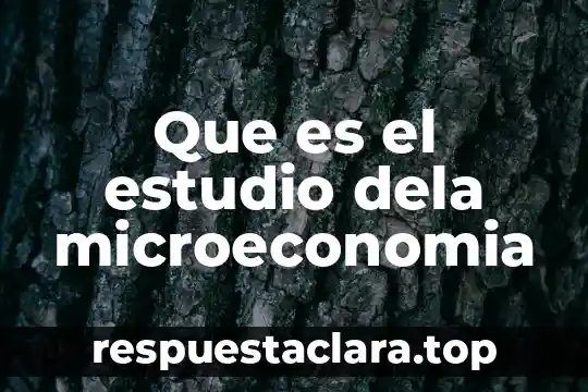 Que es el estudio dela microeconomia
