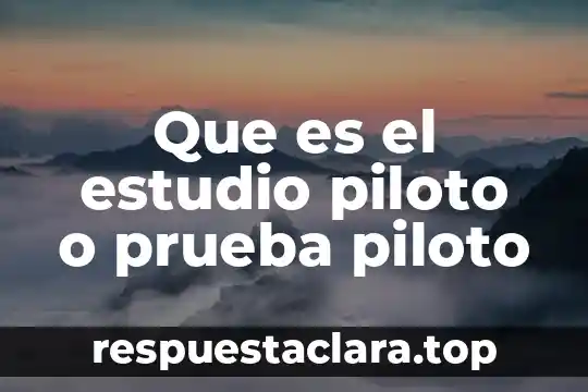 Que es una prueba de significa 7 Que es el estudio piloto o prueba piloto