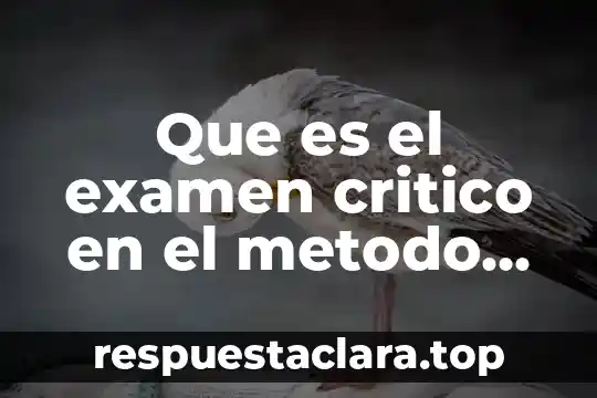 Que es el examen critico en el metodo analitico