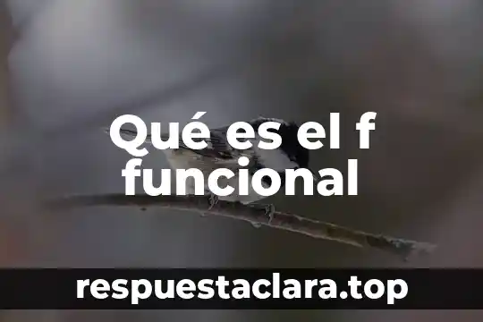 Qué es el f funcional