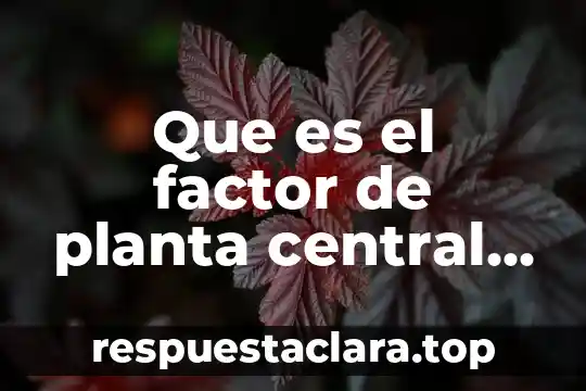 Que es el factor de planta central solar
