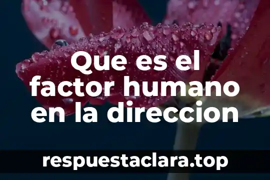 Que es el factor humano en la direccion