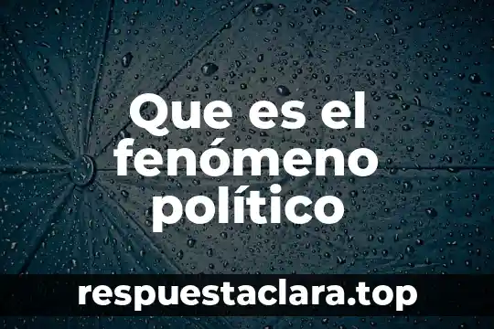 Que es el fenómeno político