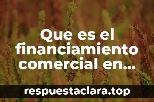 Que es el financiamiento comercial en mexico