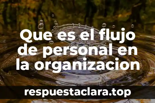Que es el flujo de personal en la organizacion