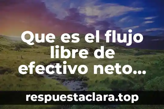 Que es el tiempo futuro significado 3 Que es el flujo libre de efectivo neto futuro