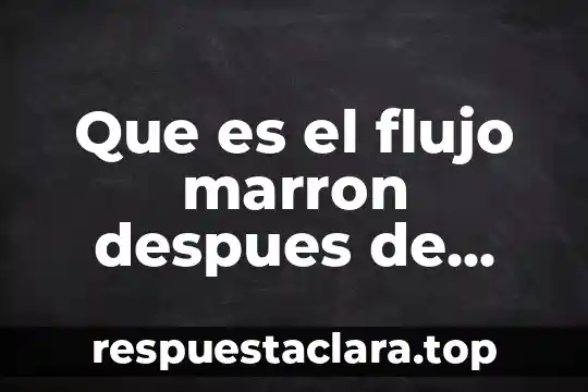 Que es el flujo marron despues de tener relaciones