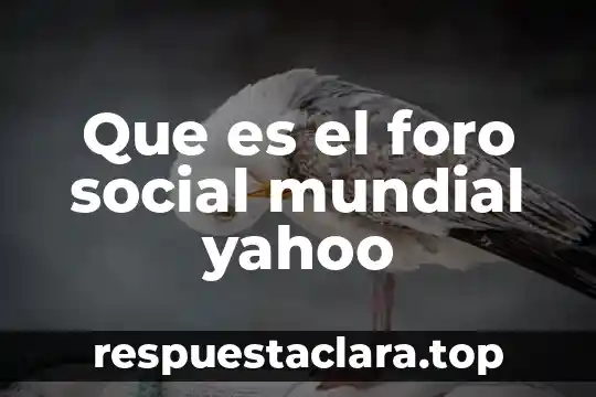 Que es foro nuevo sol del df 3 Que es el foro social mundial yahoo