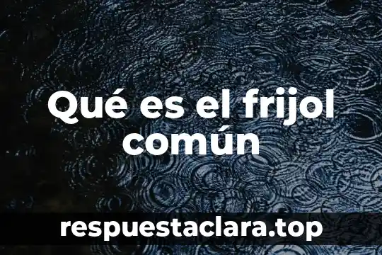Qué es el frijol común