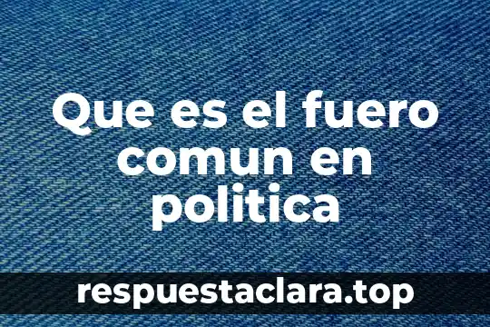 Que es el fuero comun en politica