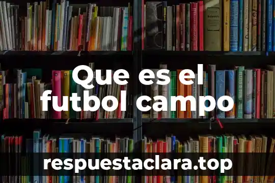 Que es el futbol campo