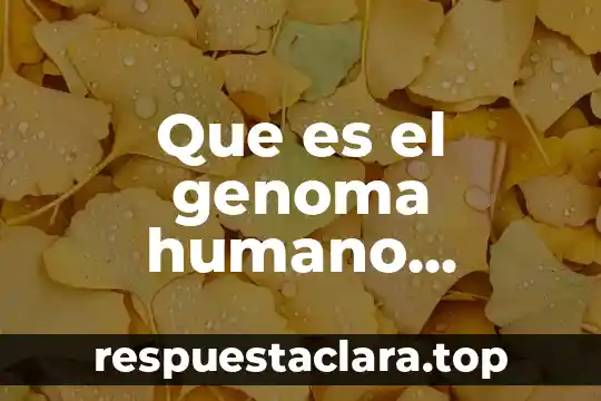 Que es el genoma humano ejemplos