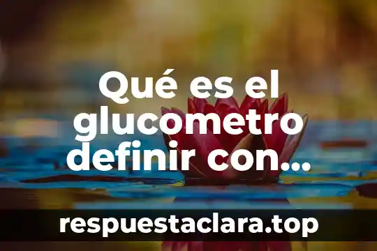 Qué es el glucometro definir con propias palabras