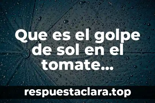 Qué es un mapa cognitivo tipo sol y ejemplo 6 Que es el golpe de sol en el tomate saldette