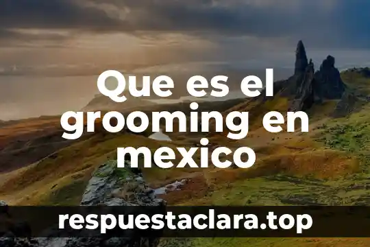Que es el grooming en mexico