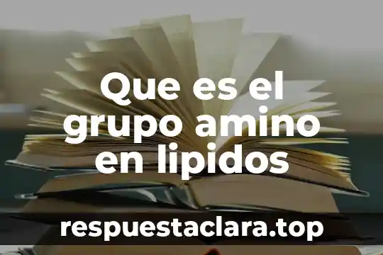 Que es el grupo amino en lipidos
