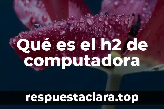 Diagra de que es la computadora 8 Qué es el h2 de computadora