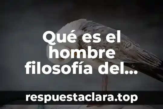 Que es descomposición con nombre de autor 8 Qué es el hombre filosofía del autor