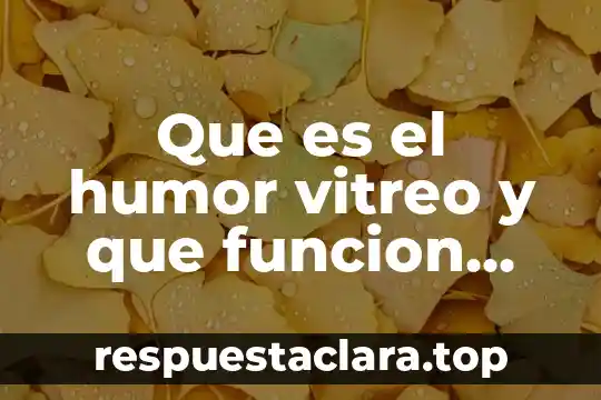 Que es una funcion grencial 8 Que es el humor vitreo y que funcion cumple