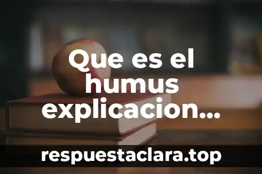 Que es el sol explicacion para niños 7 Que es el humus explicacion para niños