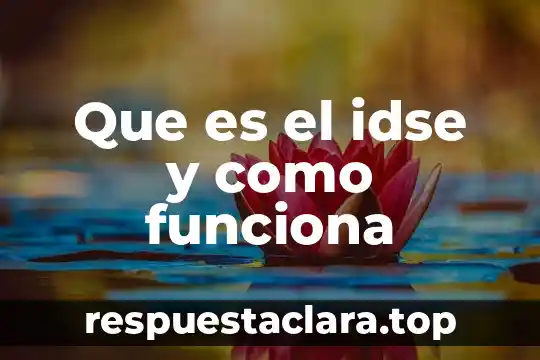 Que es el idse y como funciona