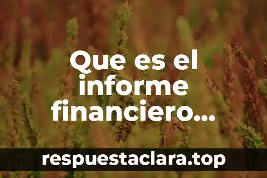 Que es el informe financiero asociacion padres familia