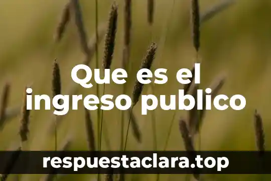 Que es el uso publico de la razon concepto 4 Que es el ingreso publico